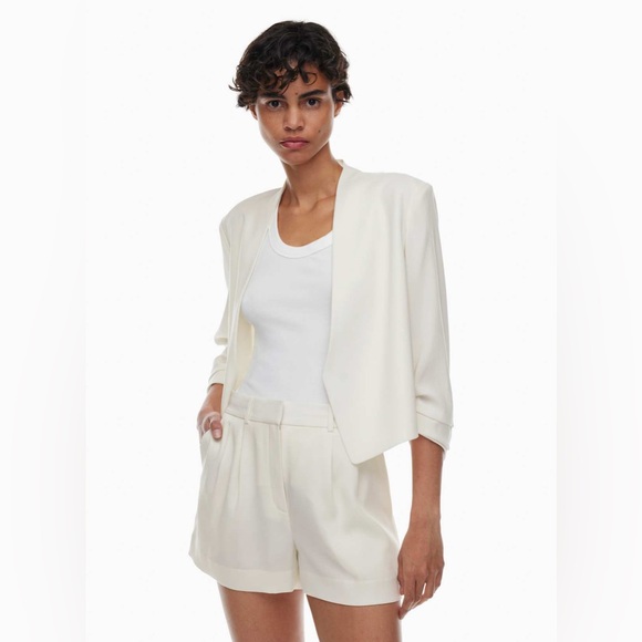Aritzia Babaton Power waist blazer - Picture 2 of 13
